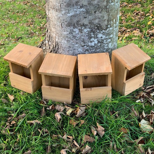 Wildlife wooden bird - wildlife, house