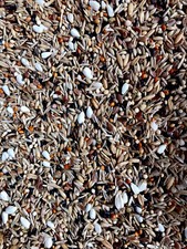 Bullfinch seed mix,Premium quality,  1 kg, 1.5 kg other weights available