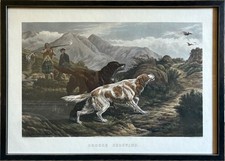 Set of Four Shooting scene Prints framed, Grouse.Partridge,Woodcock & Duck.