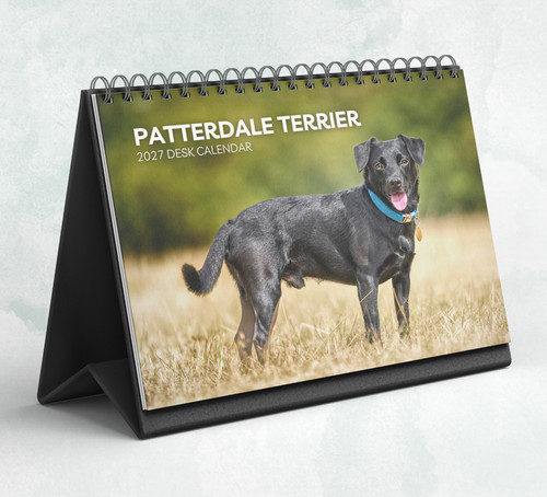 Patterdale terrier desk - terrier,