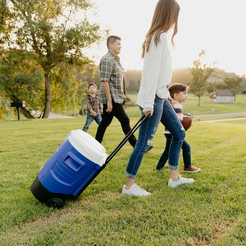 Igloo gallon sport rolling - igloo,