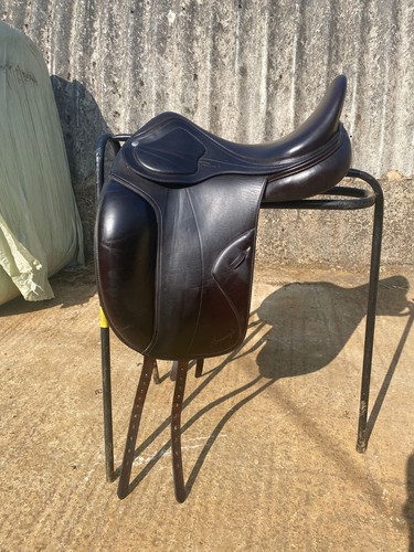 Amerigo cortina dressage - 17",