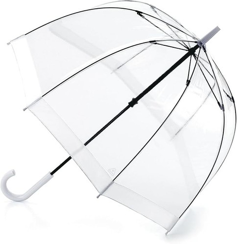 Fulton birdcage transparent - birdcage,