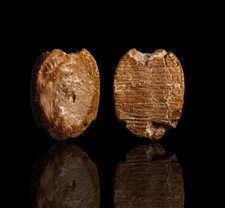Roman Terracotta Portrait Bust