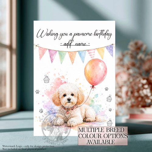 Bichon frise birthday card - bichon,