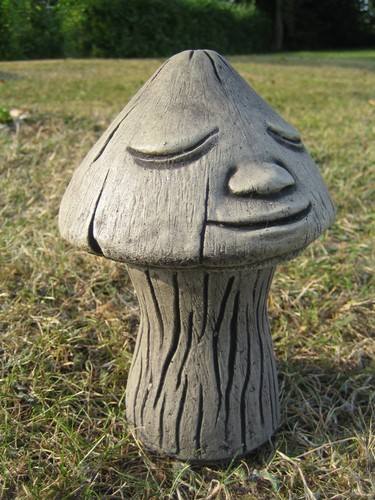 Face mushroom stone - face,