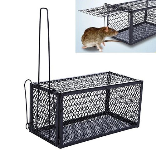 Rat trap mouse - rat, catcher