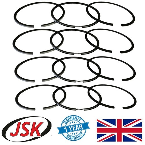12pc piston ring set std - 12pc,