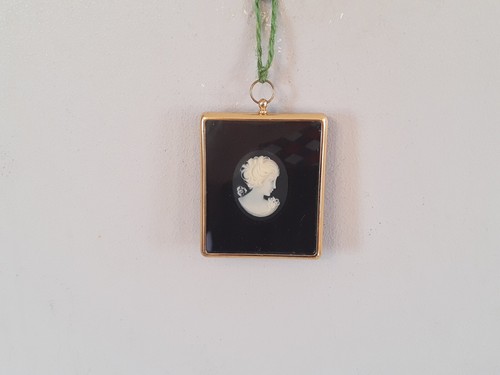 Lady cameo from the - lady,