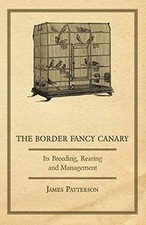 			The Border Fancy Canary -