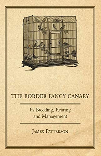 The border fancy canary - the,