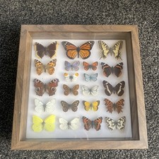 A FINE COLLECTION OF 21 FRAMED