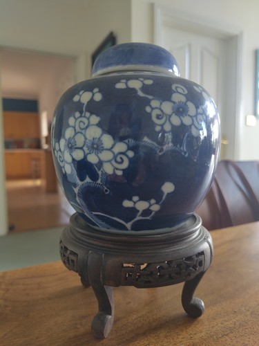 Chinese blue white prunus - &,