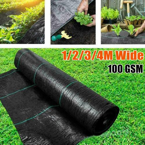 50m heavy duty weed - heavy, control