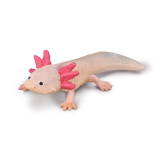 Collecta axolotl - collecta,
