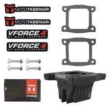 Vforce 4 V4145 Reed Valve for