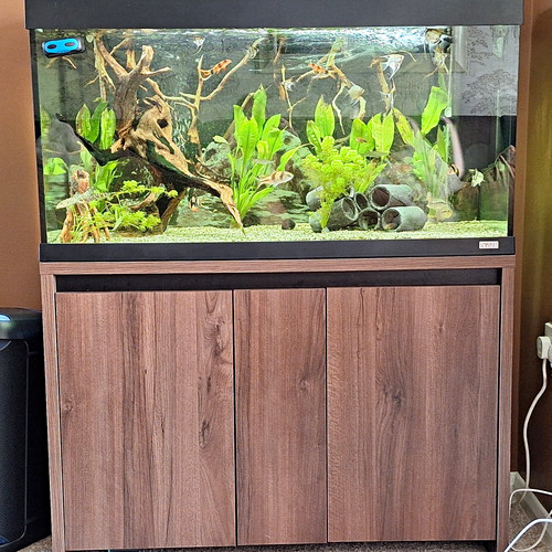Fluval roma 260l freshwater - fluval,