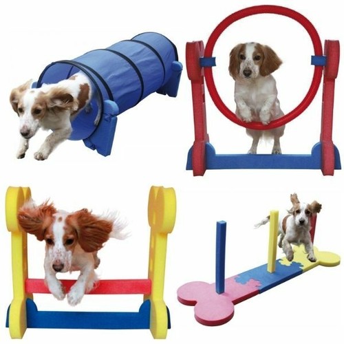 Dog agility training rosewood - training,