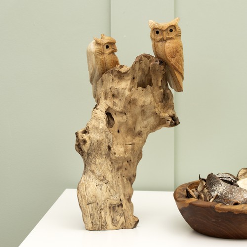 Tawny owls teak root - tawny, tree