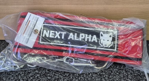Next alfa weightlifting belt - next,