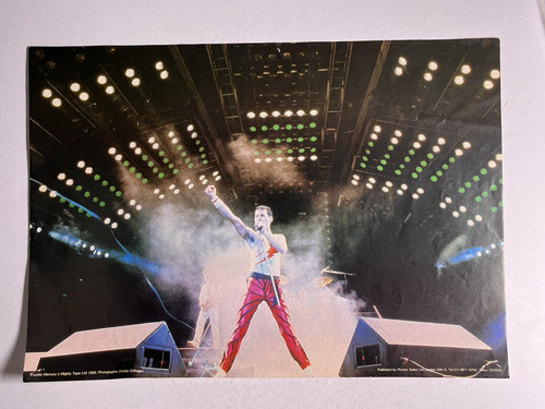 Queen freddie mercury - freddie, poster