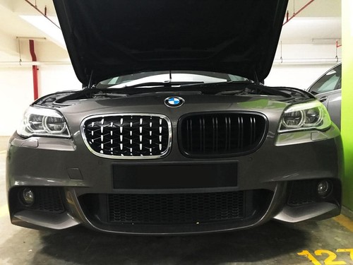 Front kidney grill diamond - front,