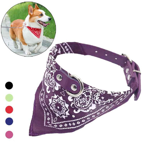 Leather dog cat - dog, collar