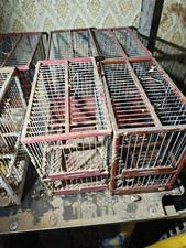 Cage C2 Of Brown - White - Afectadas Dana - 1 Unity