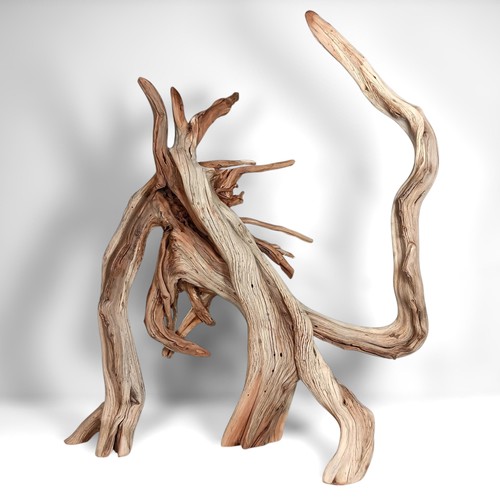 Large manzanita driftwood - 29",