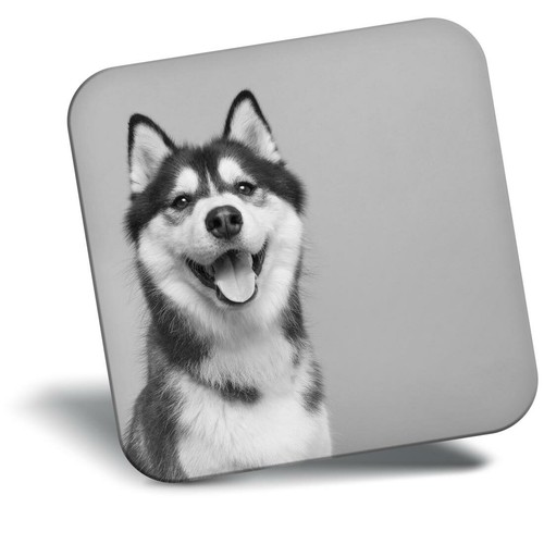 Awesome fridge magnet - awesome,