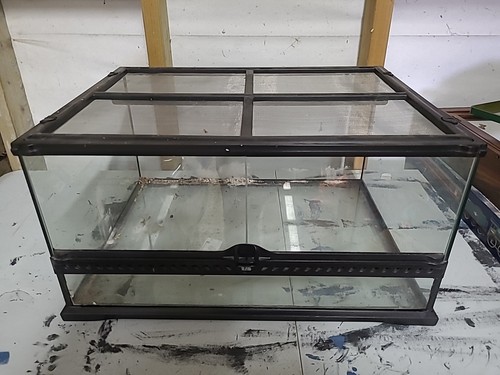 Glass enclosure terrarium - glass,
