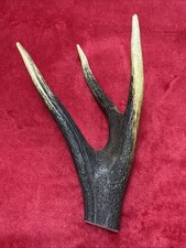 ONE PIECE OF DEER ANTLER