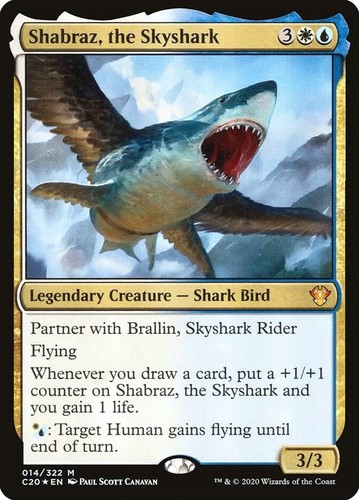 Shabraz the skyshark - the, foil