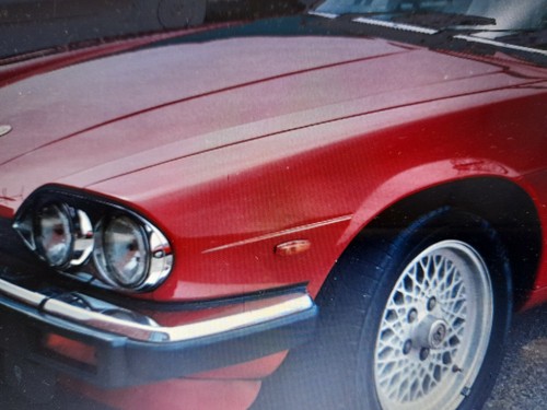 Jaguar xjs mans - jaguar,