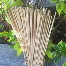 50/100pcs Plant Support Wooden Sticks Bamboo Plants Canes Flower ProfessionFF