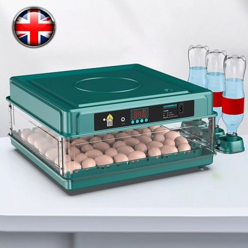 Egg incubators for hatching - 48,