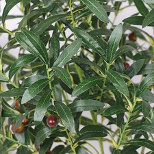 Artificial Olive Branches