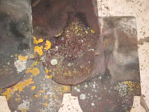 Reclaimed clay club roof - reclaimed,