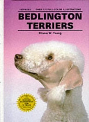 Bedlington terriers elinore - terriers,elinore, w
