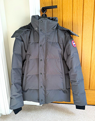 Canada goose arctic - canada,