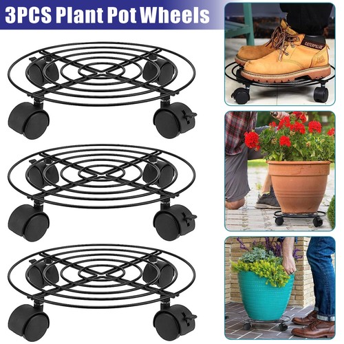 Round plant pot - plant,