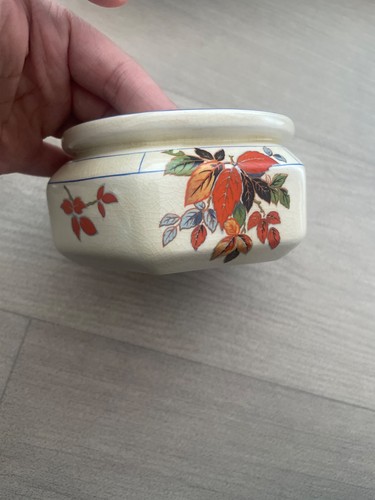 Coronet ware parrot company - parrot,