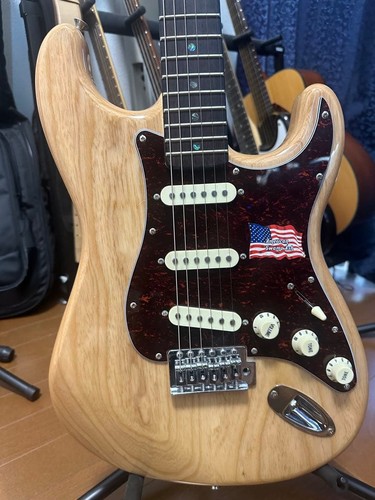 Vtg series electric guitar - sx,