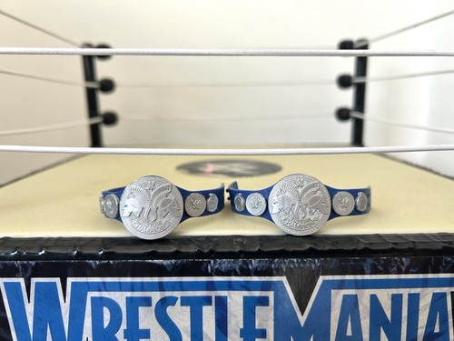 Wwe smackdown tag team - smackdown,