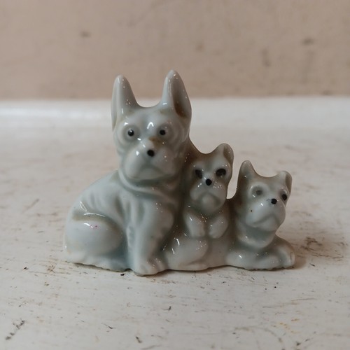 Scotty westie terrier - scotty,