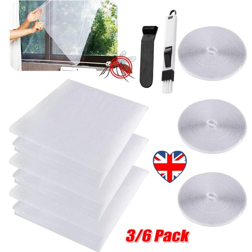 Window fly screen insect net - insect,