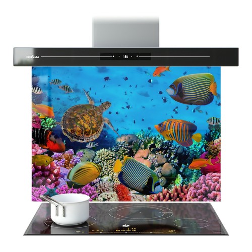Kitchen glass splashback - kitchen,