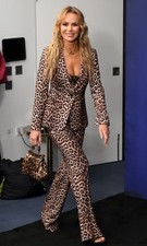 Zara Women Fitted Animal Print