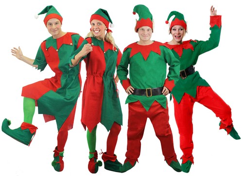 Adult elf costume ladies - adult,