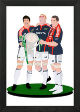 Munster Rugby Illustration